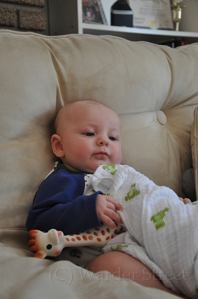 William's Fourteenth Week 07.jpg